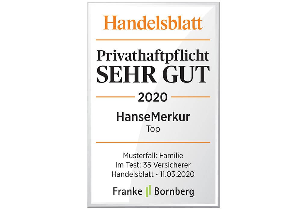 Handelsblatt-HanseMarkur-1